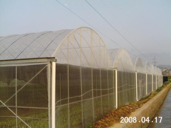 Professional Polyethylene Film Greenhouse Temperature Range -40 To 60℃ For The