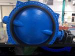 Large Diameter BS EN593 Double Flanged Butterfly Valve Underground Captop