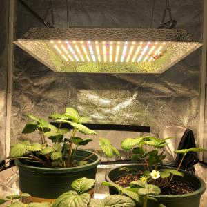 Wholesale Knob Dimming Full Spectrum 2x2 LED Grow Light from china suppliers