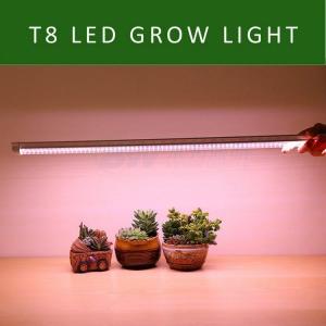 Wholesale T8 LED Plant Grow Lights from china suppliers