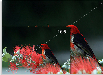 Indoor Small Pitch LED Digital Signage Display P1.667 320*160mm Module Size