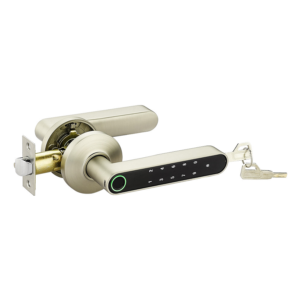 F4 Smart Fingerprint Door Locks