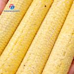 220V/380V Corn threshing equipment large corn thresher corn thresher price large