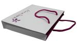 Small Paper Carrier Bag With Foil Hot Stamp Logo for Advertising