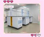 80kg Chemistry Lab Bench Laboratory Caseworks with High Environmental Friendline