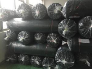 Wholesale Dark Green HDPE Anti Hail Nets with UV For Agriculture , 30gsm - 50gsm from china suppliers