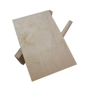 Wholesale CARB 12mm 18m Birch Hardwood Plywood For Furniture from china suppliers