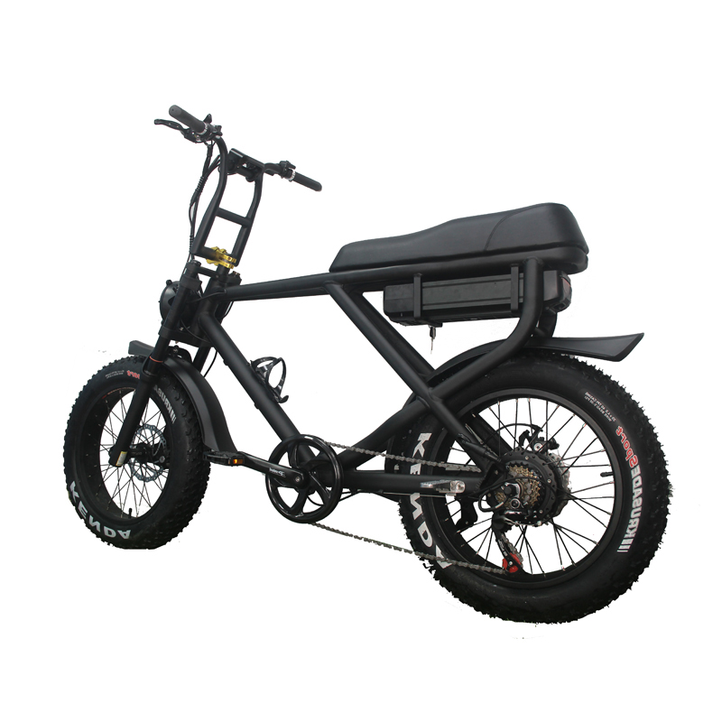 Removable Battery Full Suspension 1000W Electric Fat Bike with Lithium Power Supply
