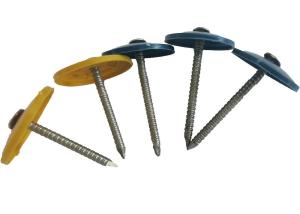 Wholesale Round Cap Oem 25mm Roofing Nails With Plastic Washers from china suppliers