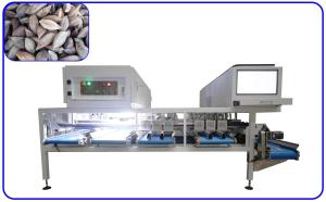 Wholesale Silver AI Pilinuts Grading Sorting Machine 8.5KW 16 Channel Stainless Steel from china suppliers