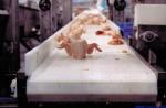 Take Away Finished Food Product Belt Conveyor / Output Conveyor