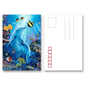 Wholesale Pantone Color Printing PET 3D Lenticular Postcard / 3D Changing Pictures For Kids from china suppliers
