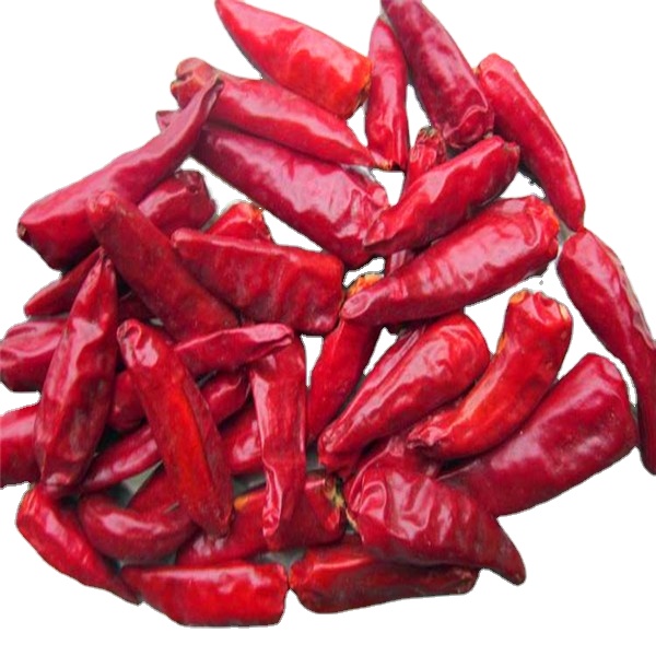 Stemless Bullet Head Chili Dehydrated Chaotian Sun Dried Red Peppers