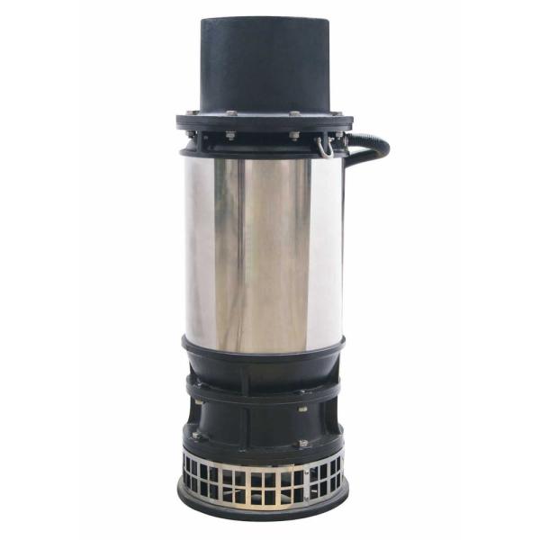 WLT Series Stainless Steel Flow Drainage Fountain Pumps Submersible Wear