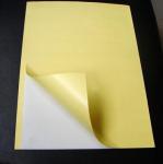 Environment Friendly Cleanroom Sticky Mat DCR Pad For Silicone Hand Roller