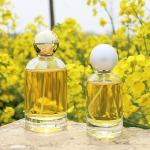 Transparent Perfume Glass Spray Bottle 30ML 50ML 100ML Empty With Ball Cap