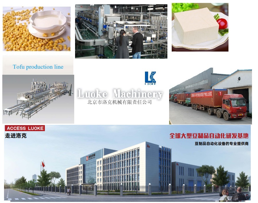 1500 B/h Capacity Automatic Bean Curd Cutting and Casing Machine for Tofu Production