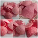 Pink Onion Delights Crispy Vacuum Fried Allure For Your Taste Buds