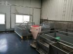 Pvc Panel Pig Farrowing Crate