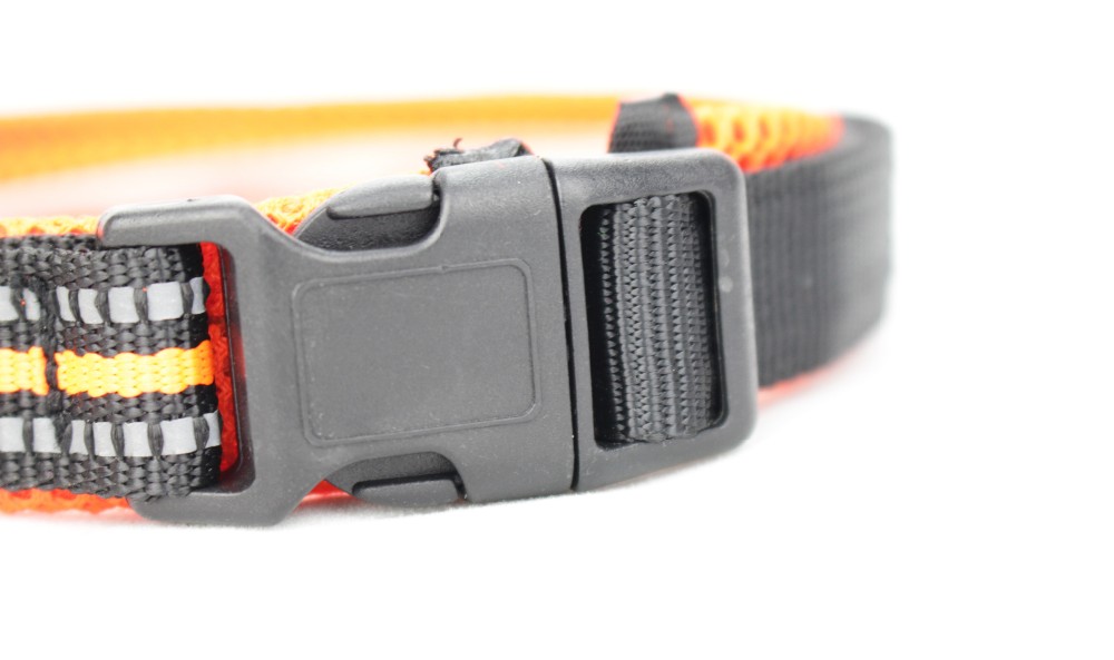 Nylon Webbing Adjustable Dog Collar / New Design Reflective Dog Collars