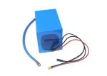 Blue Lithium Ion Battery For Motorcycle Lifepo4 36v 50v Charger For UPS
