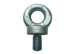 Heat Treated Steel Specialty Hardware Fasteners M8X1.25 M10 Shoulder Collard Eye