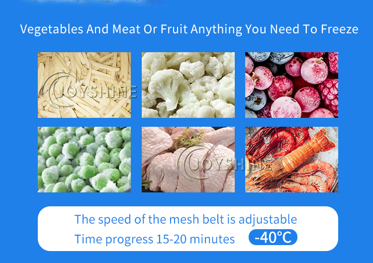 Customized Tunnel Fast Freezing Machine for Fruit and Vegetable Seafood Poultry Parts