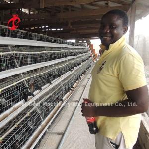 Wholesale 3 Or 4 Tiers Poultry Chicken Layer Cage A Type Q 235 Steel Wire Star from china suppliers