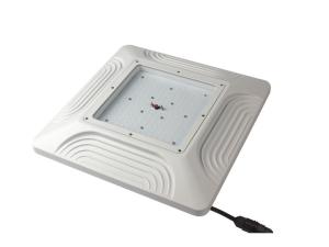 Wholesale 120W LED Gas Station Light 130lm/W 4000K IP65 Weatherproof Meanwell Driver from china suppliers