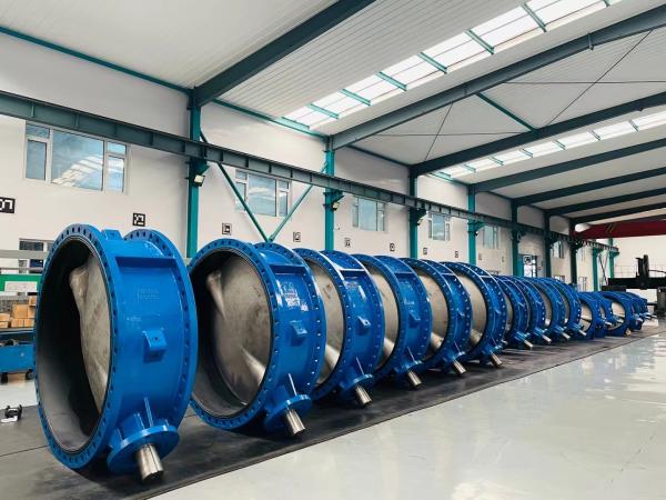 china factory manufacturer bs en Big size concentric double flanged butterfly