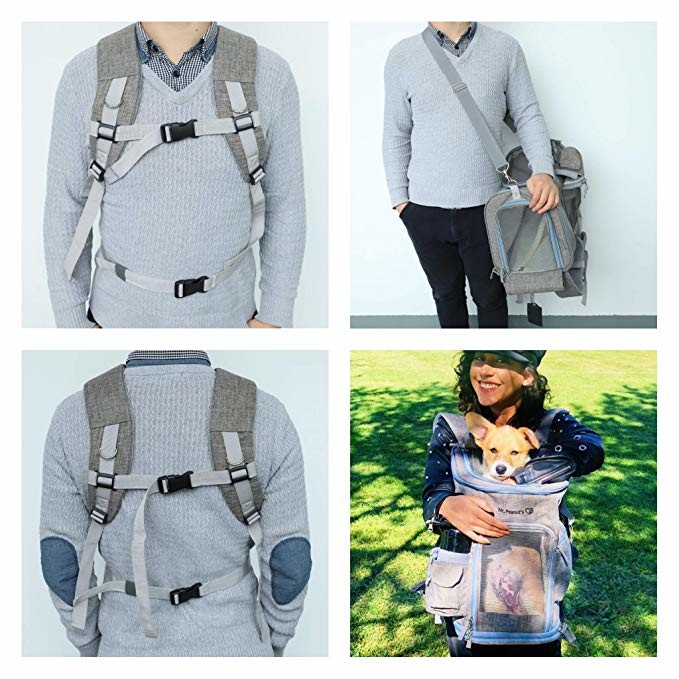 Lightweight Airline Approved Pet Carrier Bag With Locking Clasps & Fleece Padding
