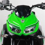 Air Cooled Street Sport Motorcycles Single Cylinder Wind Cooled E Start CDI