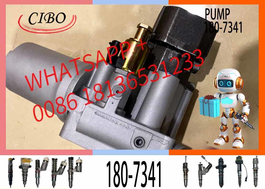 325C E322C E325C Diesel Pump 1807341 10R2995 1340467 10R7053 3126B Fuel Injection Pump 10R-2995 134-0467 10R-7053