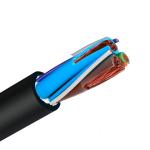 Single Core Shielded Electric Car Wire EV Cable 6AWG 14AWG Energy High Voltage