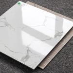 Porcelain Floor Tile 600x600 Polished Glazed Surface Carrara White Marble Look