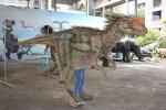 Attractive Realistic Dino Costume High Durability For Party Entertainment