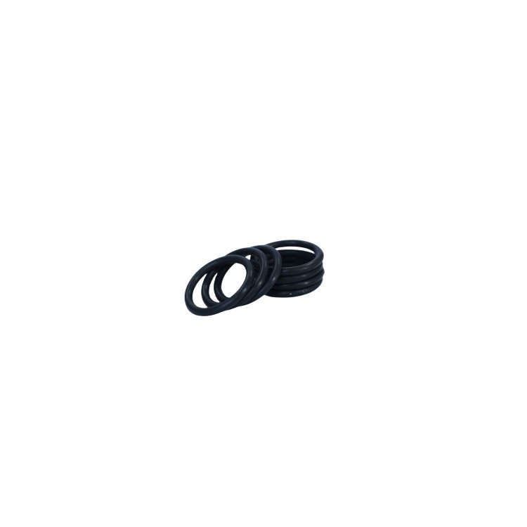 FFKM O Rings High Temperature Resistance All Chemicals Resistance