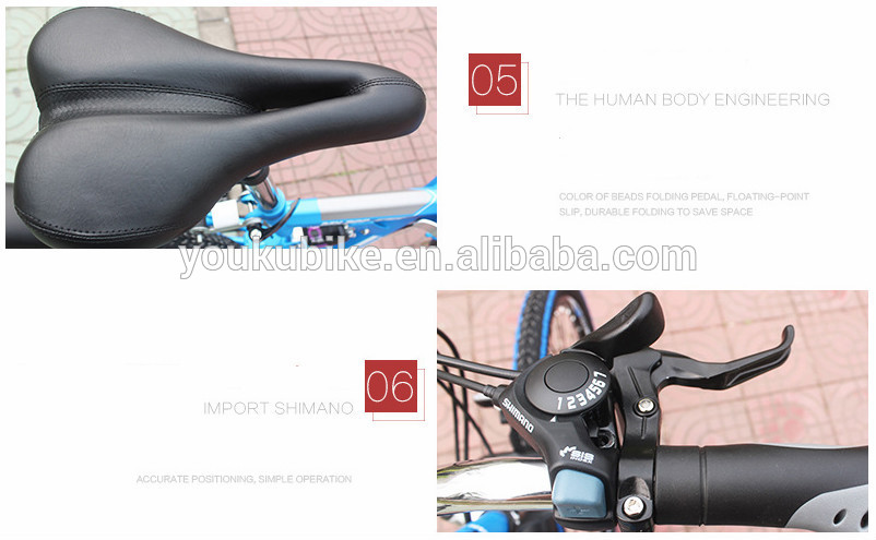 Steel 21 Speed 24 Inch Folding Mountain Bike
