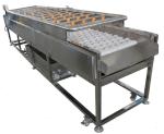 3.35KW Food Processing Machinery , 1000kg/h Spray Cleaning Machine