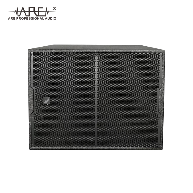ARE AUDIO dual 12 inch passive line array indoor outdoor show sound system line array speaker set