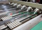 Large Capacity Pulp Molding Equipment / Egg Tray Egg Carton Production Line