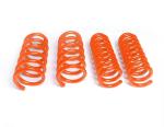 Mercedes Benz C180 Sport Lowering Springs Suspension System