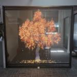 LED Transparent Film Screen for Retail Store Advertising P4 Flexible LED Display