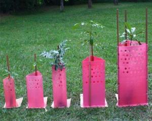 Wholesale Waterproof Corrugated Plastic Tree Guards Wrap 2mm from china suppliers