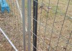 Galvanized 42 Microns Temporary Fence Panels / Construction Site Fence Panels