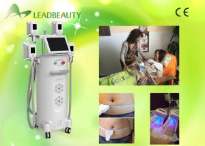 Wholesale 2016 Professional cryolipolysis fat freeze treatment belly fat freezing before and after from china suppliers