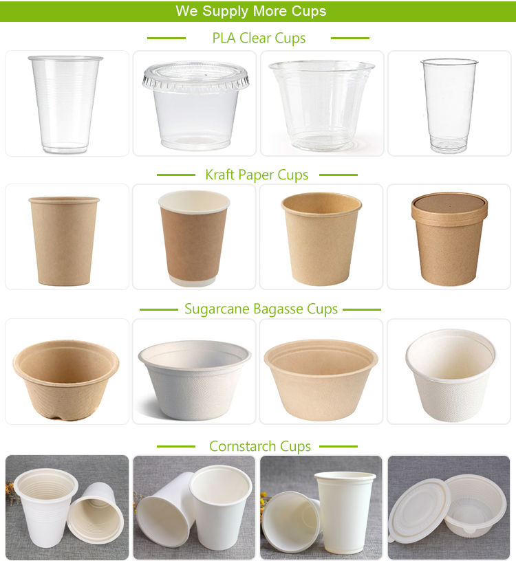 OEM Custom Logo 100% Bio Compostable PLA Transparent Cups Smoothie Beer Wine Beverage Ice CE Cold Disposable Drink To Go Cup