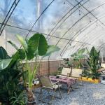 Arched Roof Sunlight Greenhouse for Vegetable Production Seeding US 20/Square