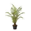 Spinulosa Fern Plants Bushes Fake Shrubs Greenery Plants Faux Fern Snakewood