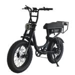 Aluminum Alloy Frame 48v Battery Electric Bike Cruiser Fat Tire Bike for Benefit